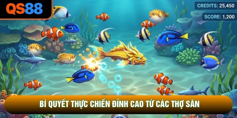 Bí quyết thực chiến đỉnh cao từ các thợ săn Bí quyết thực chiến đỉnh cao từ các thợ săn