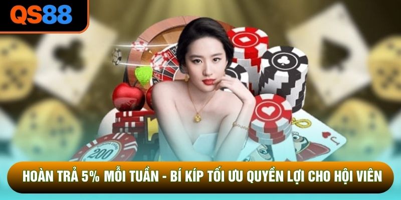 Hoàn Trả 5% Mỗi Tuần - Bí Kíp Tối Ưu Quyền Lợi Cho Hội Viên